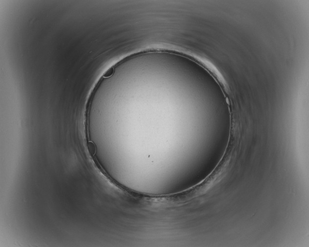 X0000115840903200911201550