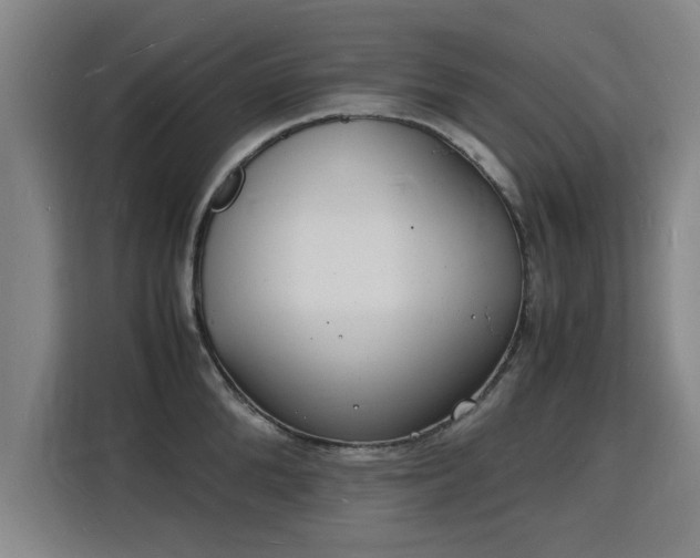 X0000115840904200911201550