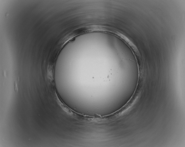X0000115840905200911201550