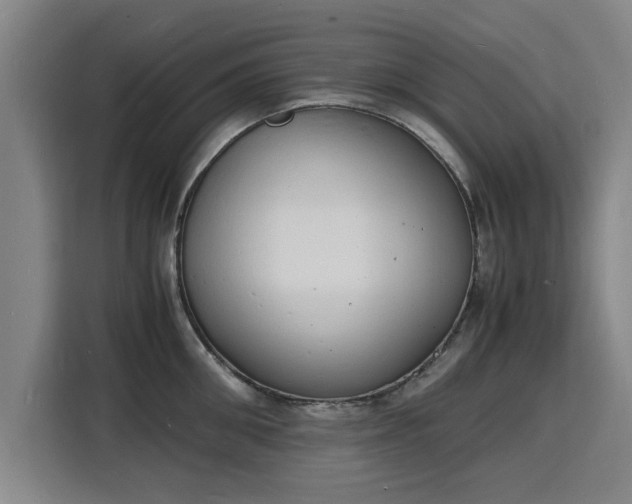 X0000115840906200911201550