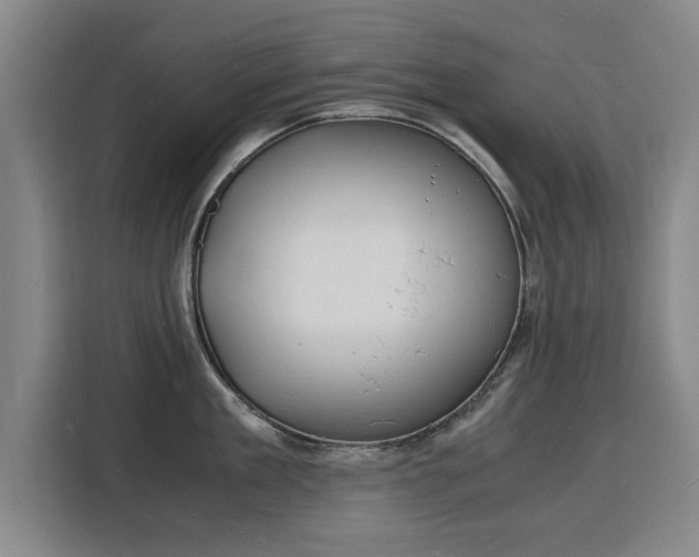X0000115840909200911201550