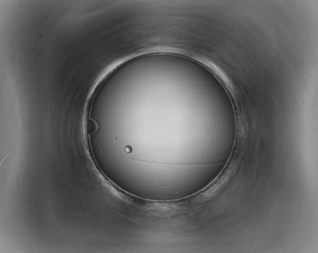 X0000115840910200911201550