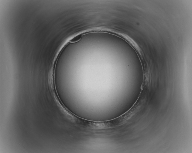 X0000115840911200911201550
