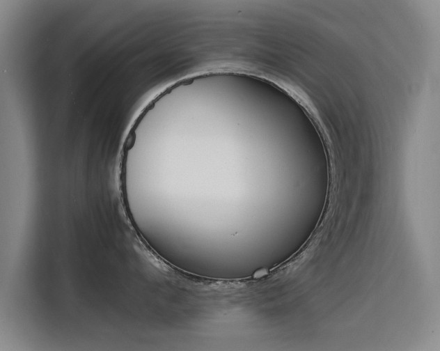 X0000115840912200911201550