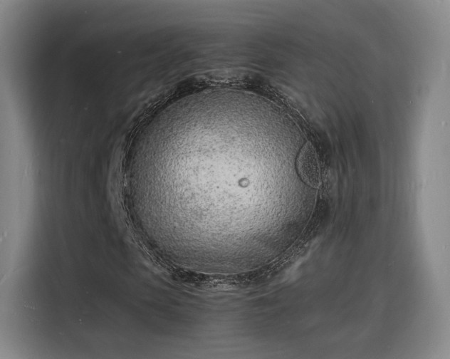 X0000115840913200911201549