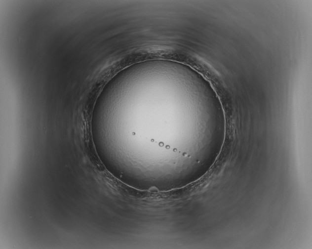 X0000115840917200911201549