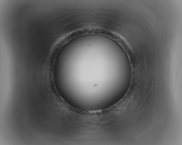 X0000115840919200911201549