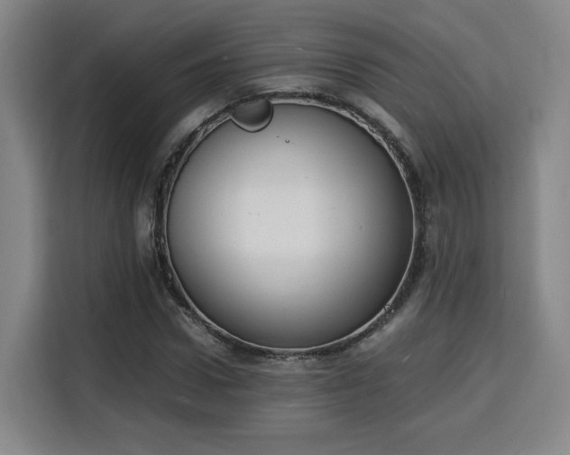 X0000115840922200911201550