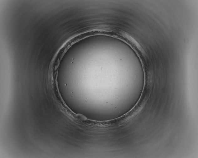 X0000115840923200911201550