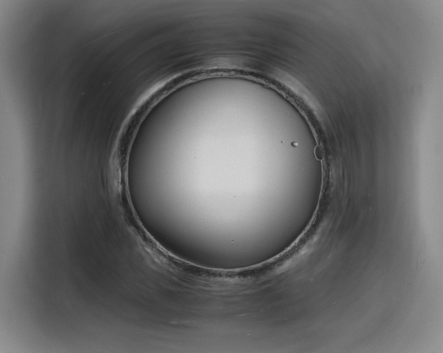 X0000115840925200911201550