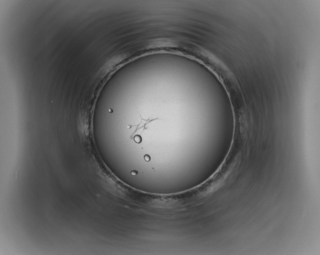 X0000115840929200911201550
