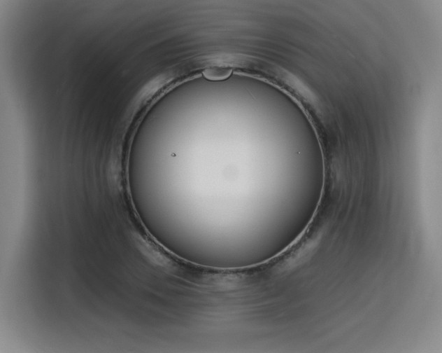 X0000115840930200911201550