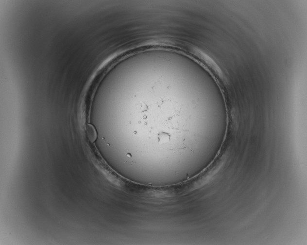 X0000115840931200911201550