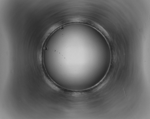 X0000115840938200911201550