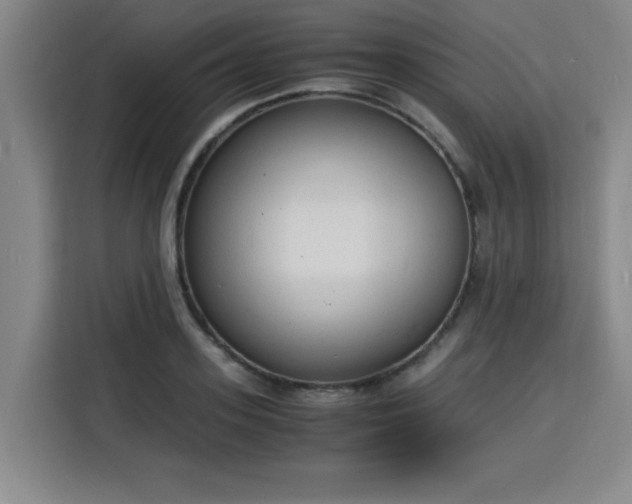X0000115840939200911201550
