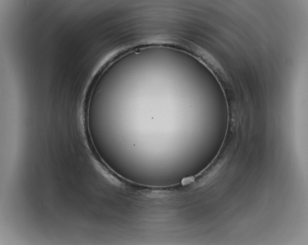 X0000115840942200911201550