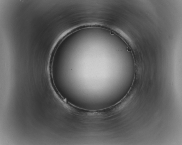 X0000115840943200911201550