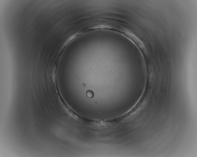 X0000115840945200911201550