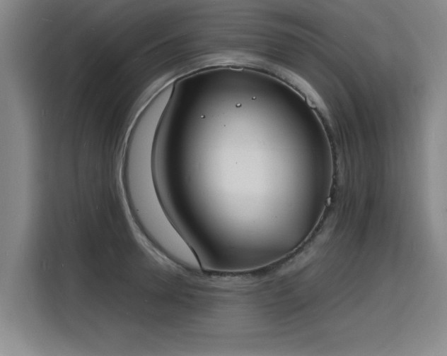 X0000115840946200911201550