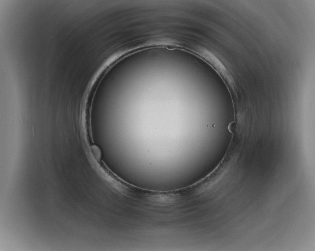 X0000115840947200911201550