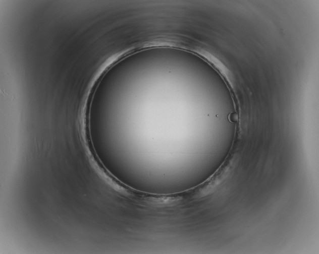 X0000115840949200911201550