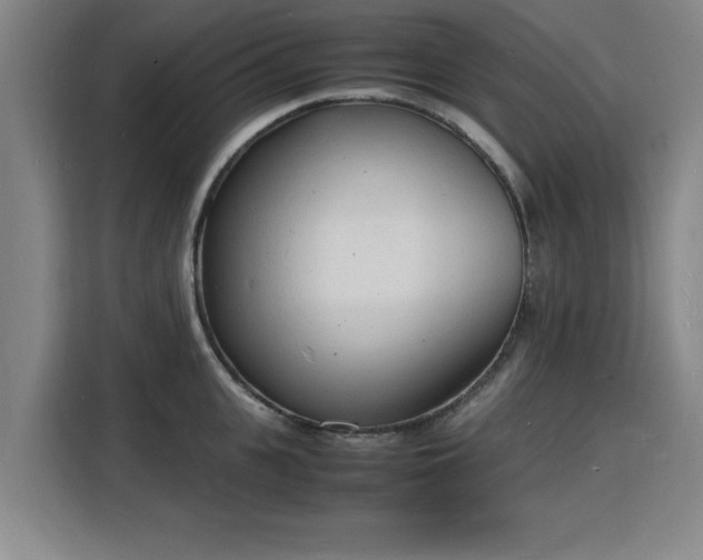 X0000115840951200911201550