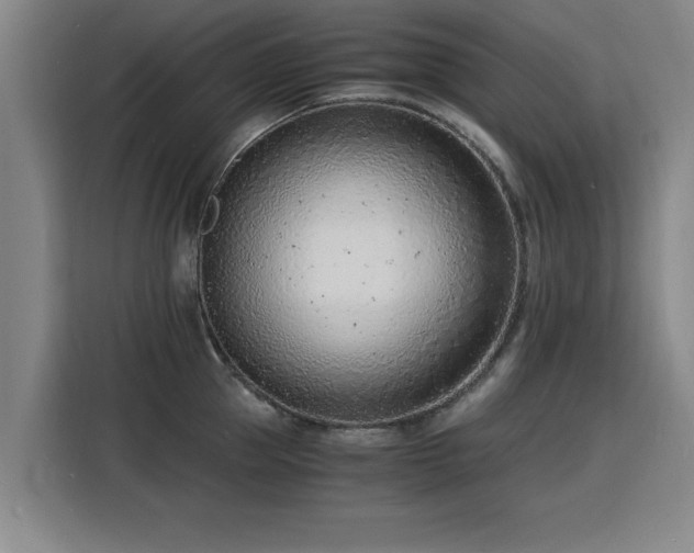 X0000115840953200911201550