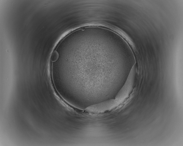 X0000115840958200911201550