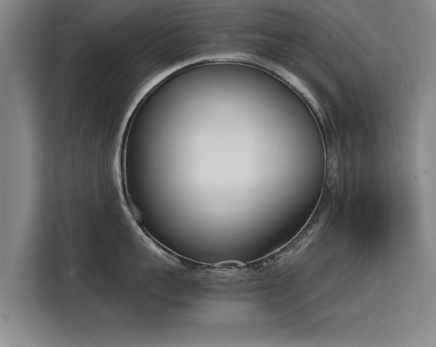 X0000115840959200911201550