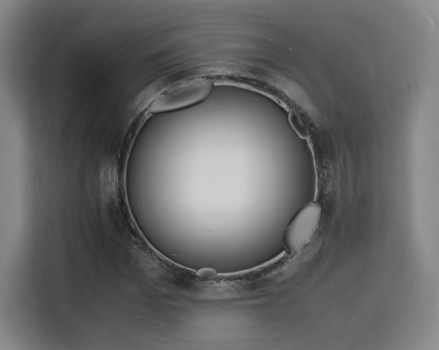 X0000115840969200911201549