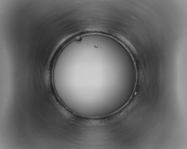 X0000115840976200911201549