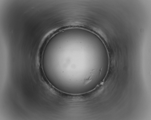 X0000115840979200911201549