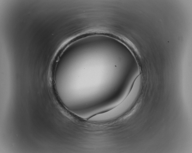 X0000115840981200911201549