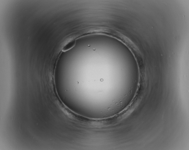 X0000115840985200911201549