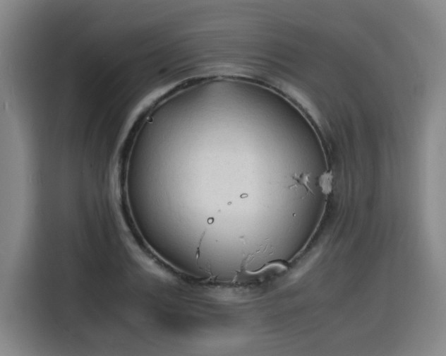 X0000115840987200911201549