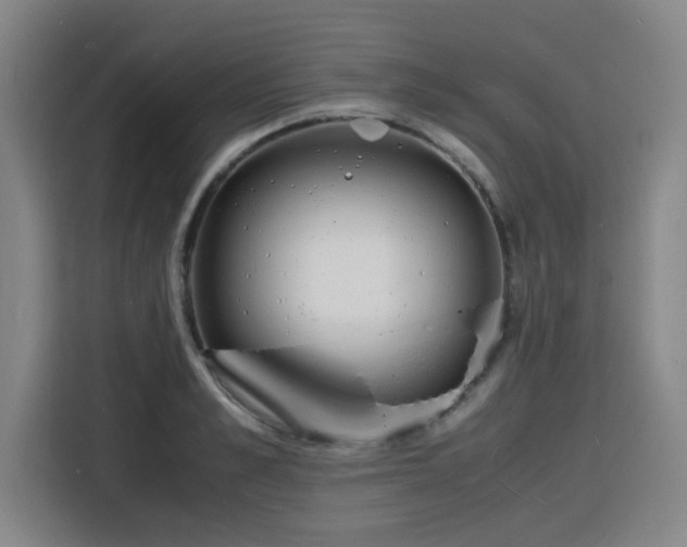 X0000115840989200911201549