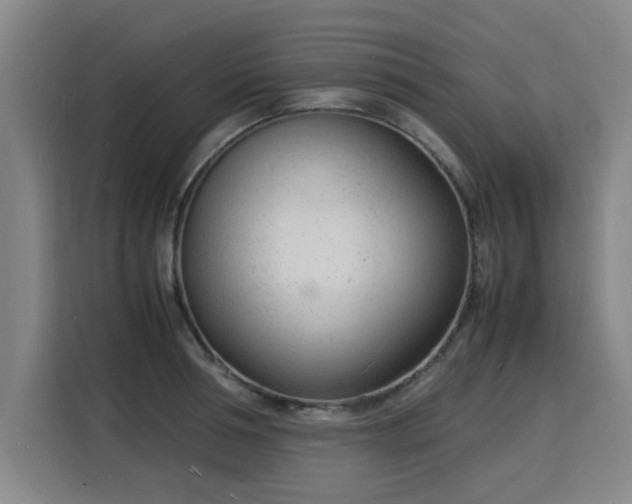 X0000115840994200911201549