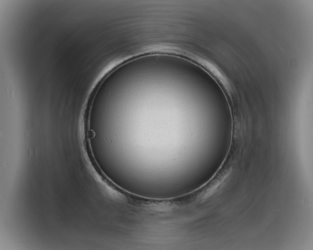 X0000115840999200911201549