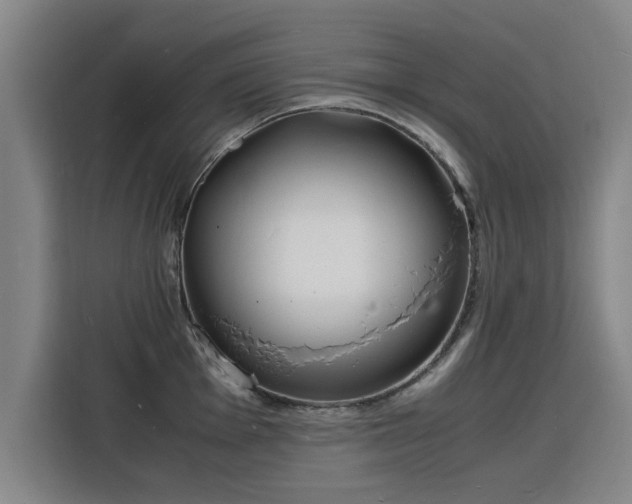 X0000115841001200911201549