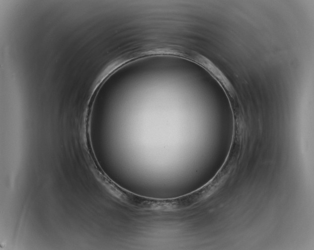 X0000115841002200911201549