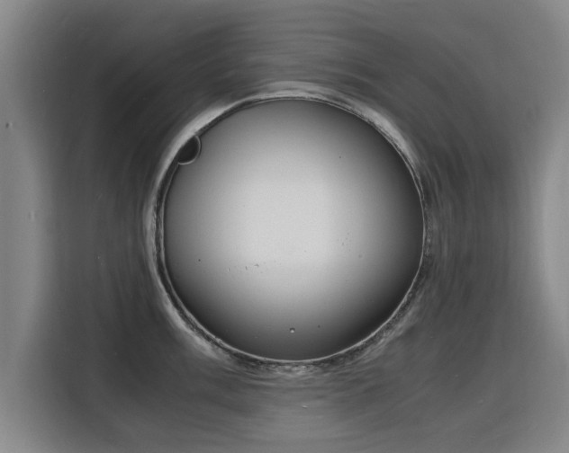 X0000115841003200911201549