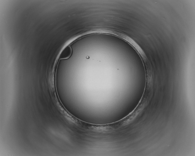 X0000115841004200911201549
