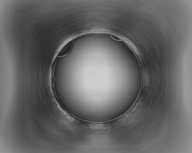 X0000115841006200911201549