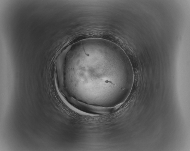 X0000115841009200911201548