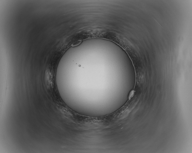 X0000115841010200911201548