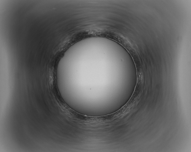 X0000115841012200911201548