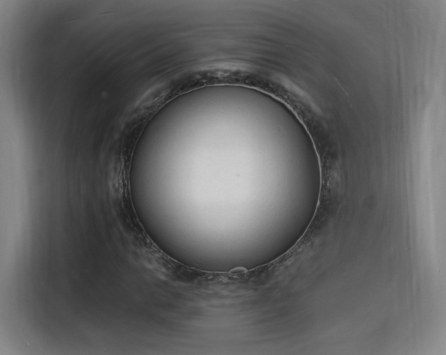 X0000115841014200911201548