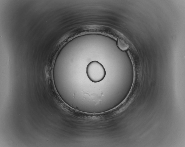 X0000115841017200911201548