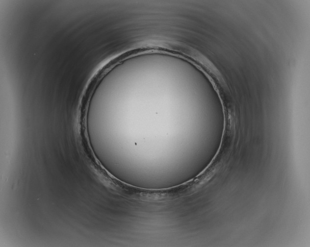 X0000115841020200911201548