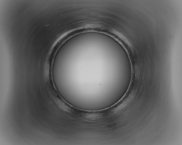 X0000115841021200911201548